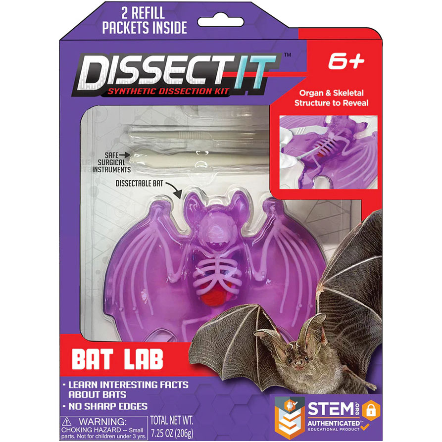 Dissect It+ Bat Lab